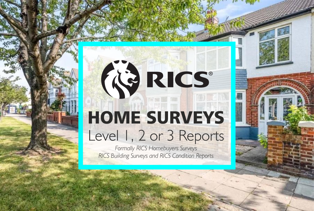 home surveys